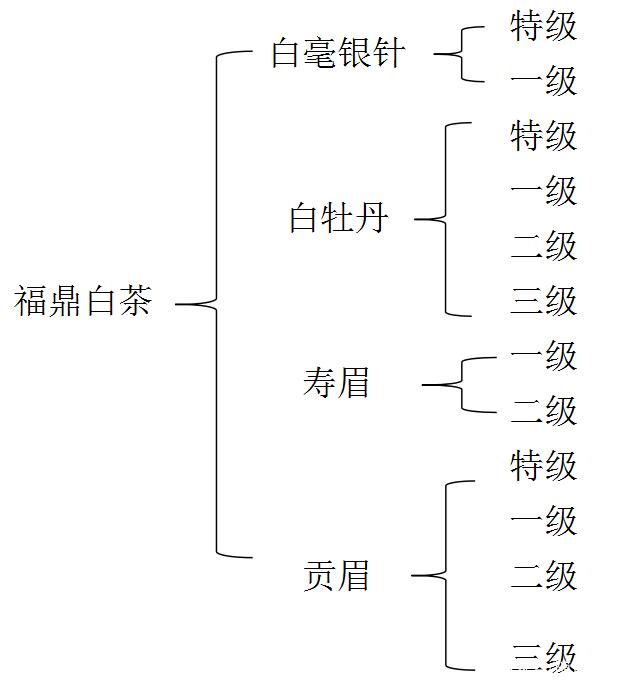 福鼎白茶是高档茶吗?高品质背后的茶文化与市场定位
