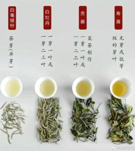 福鼎白茶是高档茶吗？高品质背后的茶文化与市场定位