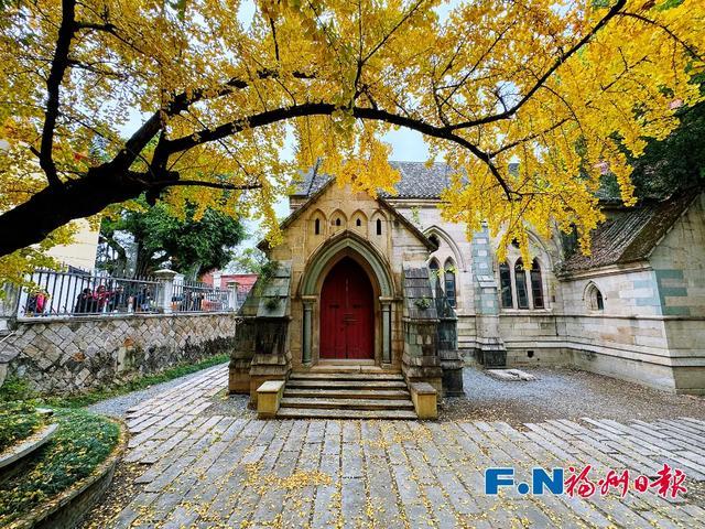 福州“下金雪”了！