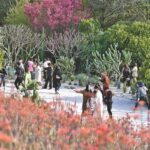 福见这一年｜亮丽“名片”助力福建文旅经济高质量发展