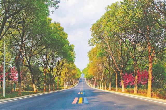 福见这一年|亮丽“名片”助力福建文旅经济高质量发展