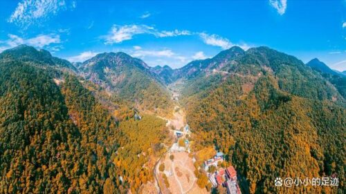 水杉秘境，福州的这两座绝美的森林公园，堪称冬日赏杉的宝藏胜地