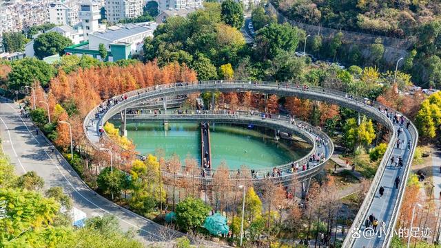 水杉秘境,福州的这两座绝美的森林公园,堪称冬日赏杉的宝藏胜地