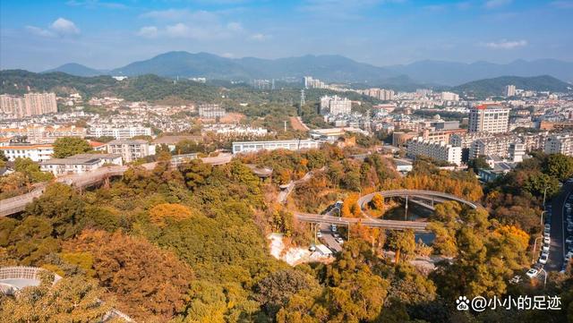 水杉秘境,福州的这两座绝美的森林公园,堪称冬日赏杉的宝藏胜地