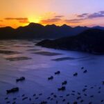 霞浦自由行：入冬三日寻美食赏雪景的完美之旅