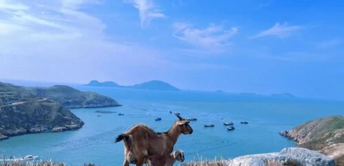 被朋友问疯的国内无人岛，没被开发，不商业化，保留着原本的样子