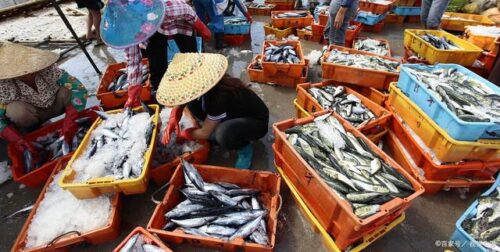 霞浦之旅：入冬寻味，雪景中的自由行攻略