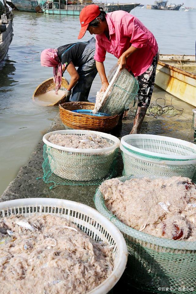 霞浦之旅:入冬寻味,雪景中的自由行攻略