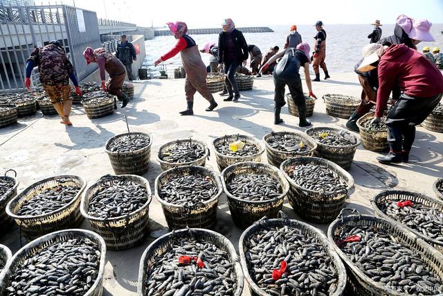 霞浦之旅:入冬寻味,雪景中的自由行攻略