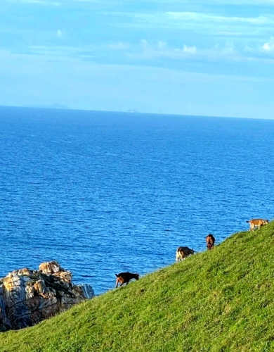 福建霞浦探秘：追寻海岛之梦，感受自然之美