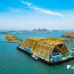 福州抢抓机遇加快打造更高水平的“海上福州