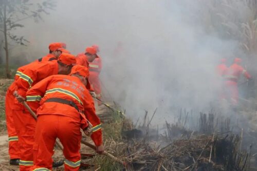 现场直击多方协同实战演练，淬炼森林灭火“硬实力”