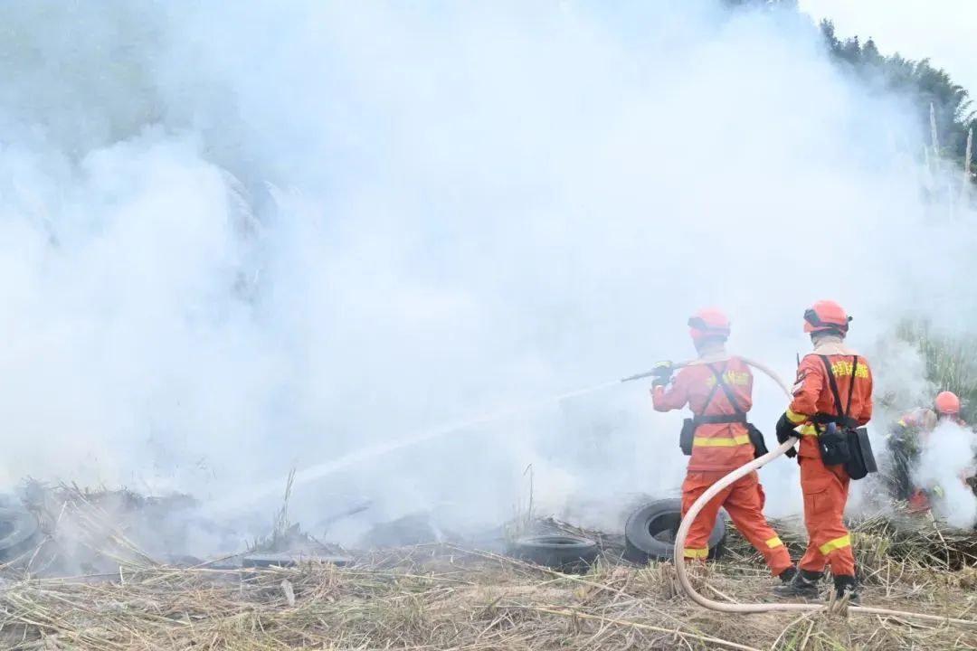 现场直击多方协同实战演练,淬炼森林灭火“硬实力”