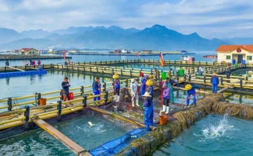 跟着宁马游宁德 | “寻味宁德”美食之旅，带上“512G”的胃~放！开！吃！