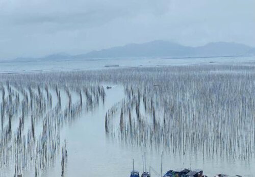 霞浦旅游避坑指南：这些地方千万别错过！