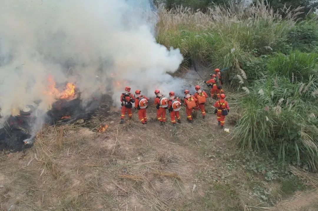 现场直击多方协同实战演练,淬炼森林灭火“硬实力”