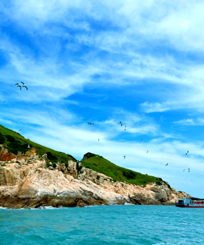 探索不一样的海岛：四礵列岛的原始美景与无尽魅力