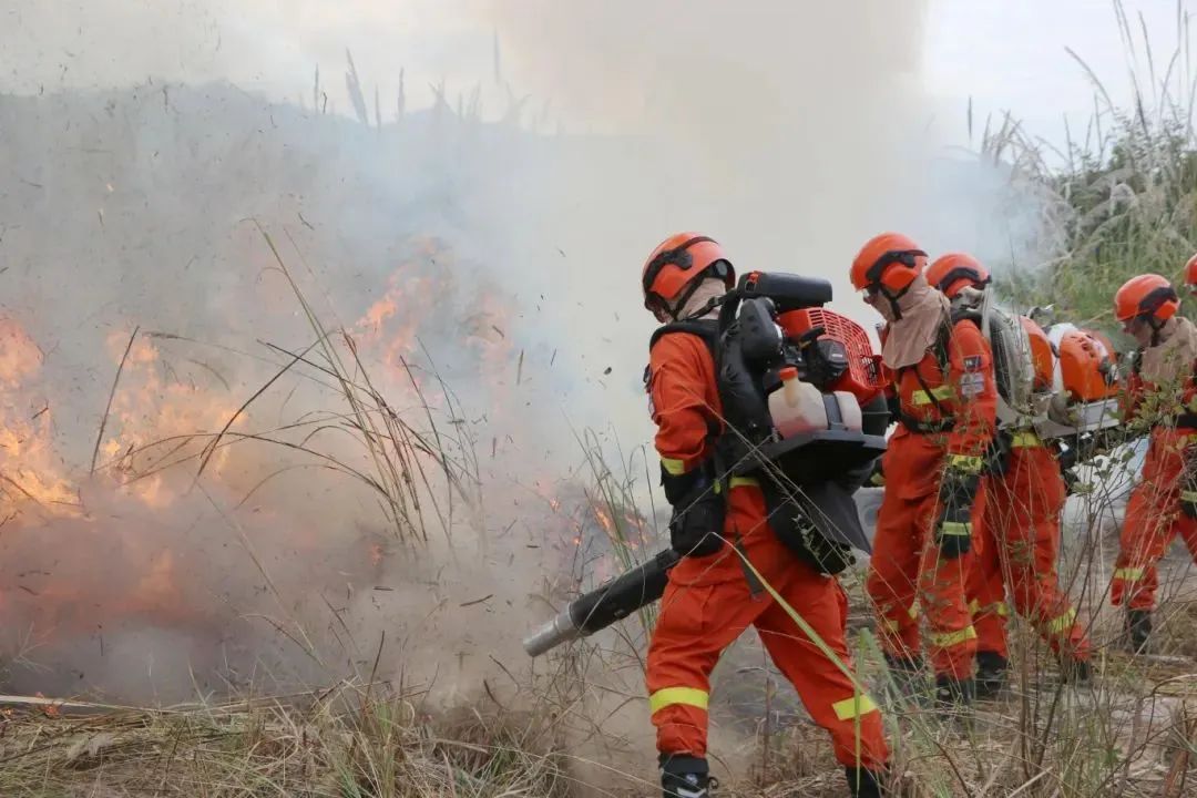 现场直击多方协同实战演练,淬炼森林灭火“硬实力”