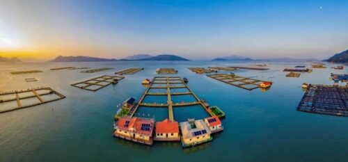 跟着宁马游宁德 | “寻味宁德”美食之旅，带上“512G”的胃~放！开！吃！