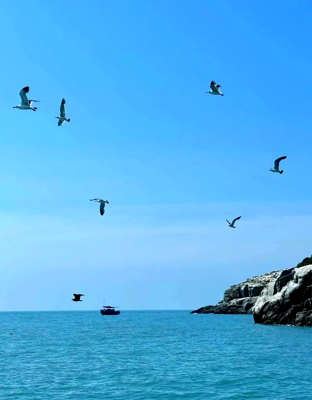 福建霞浦探秘:追寻海岛之梦,感受自然之美