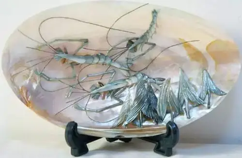 霞浦必买十大特产都有哪些?八闽君告诉你