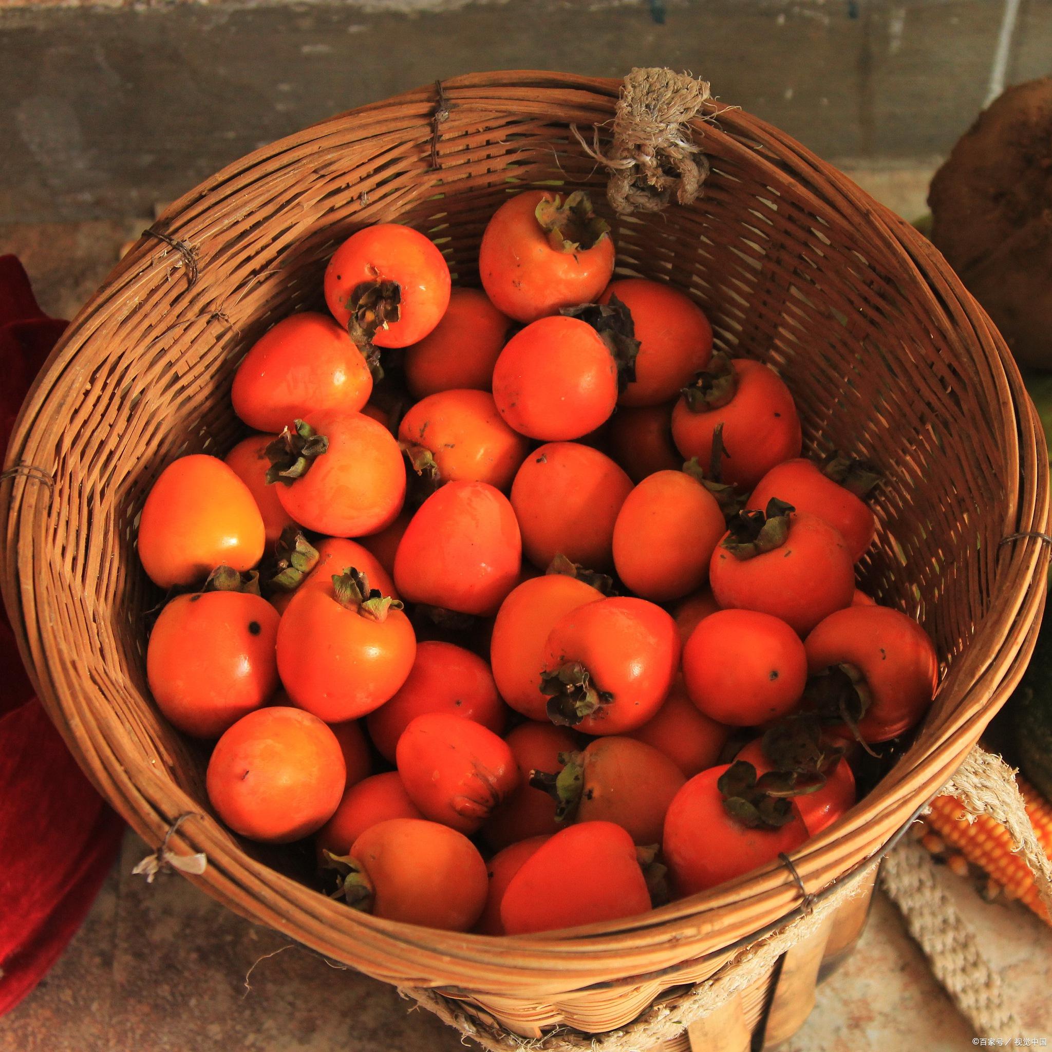 霞浦必买十大特产都有哪些?八闽君告诉你