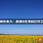 闽东电力：霞浦B区项目已开工