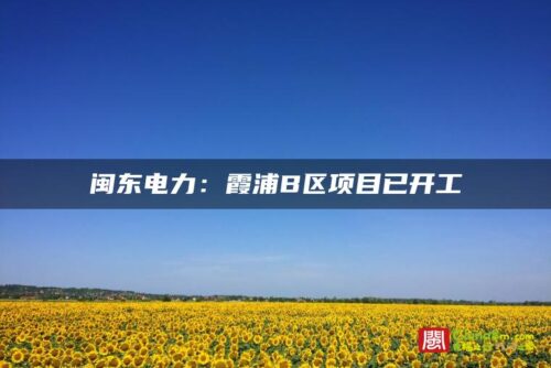 闽东电力：霞浦B区项目已开工