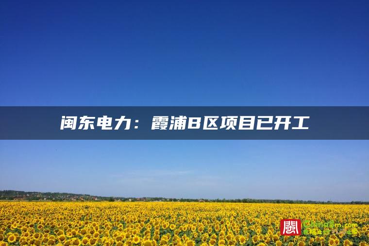 闽东电力:霞浦B区项目已开工