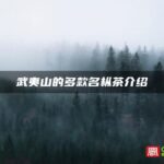 武夷山的多款名枞茶介绍