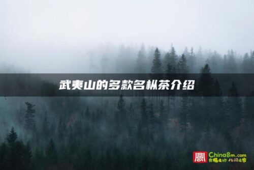 武夷山的多款名枞茶介绍