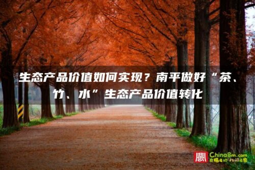 生态产品价值如何实现？南平做好“茶、竹、水”生态产品价值转化