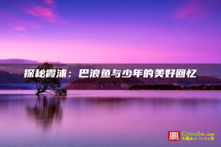 探秘霞浦:巴浪鱼与少年的美好回忆