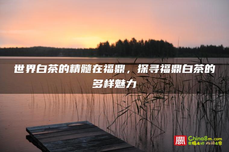 世界白茶的精髓在福鼎,探寻福鼎白茶的多样魅力
