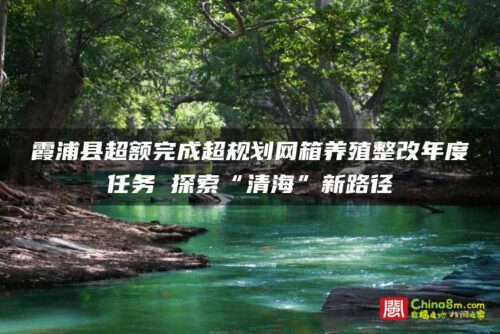 霞浦县超额完成超规划网箱养殖整改年度任务 探索“清海”新路径