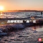 古田银耳绽“新”花