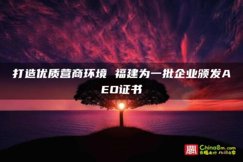 打造优质营商环境 福建为一批企业颁发AEO证书