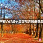 福州着力打造中国国际交流重要名片