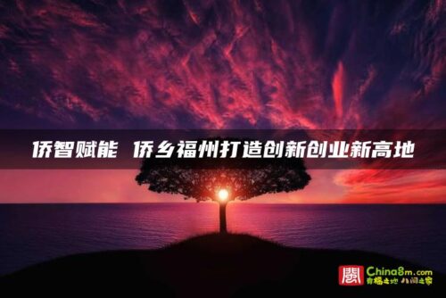侨智赋能 侨乡福州打造创新创业新高地