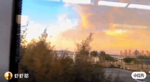 刷屏！你见过这样的厦门吗？