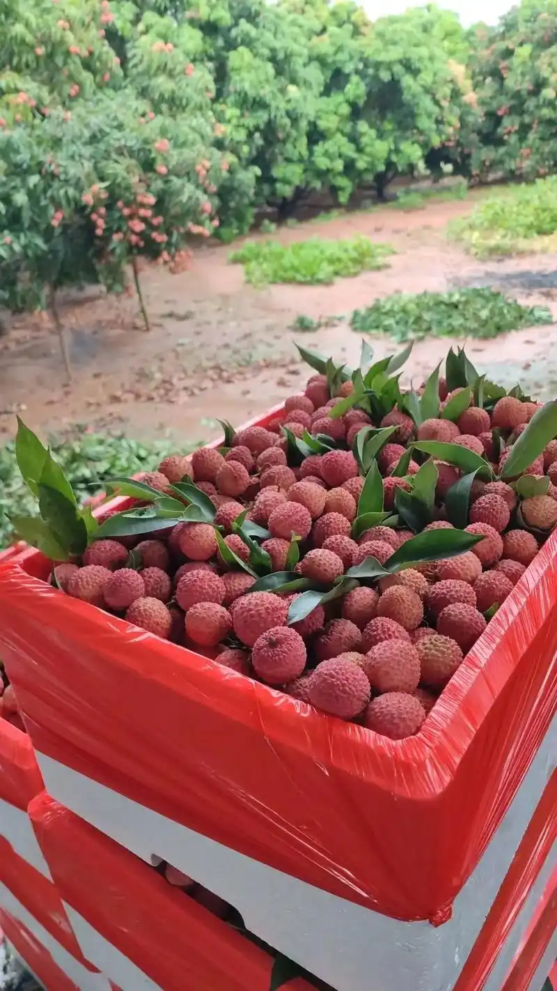 霞浦必买十大特产都有哪些?八闽君告诉你