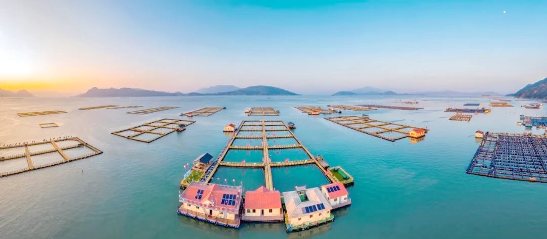 宁德美食之旅:探索多样“福建味道”