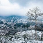 南平冬韵：雪景里的味蕾享受，三日畅享之旅