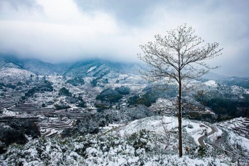 南平冬韵：雪景里的味蕾享受，三日畅享之旅