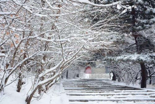 南平冬韵：雪景里的味蕾享受，三日畅享之旅