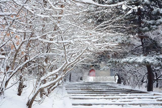 南平冬韵:雪景里的味蕾享受,三日畅享之旅