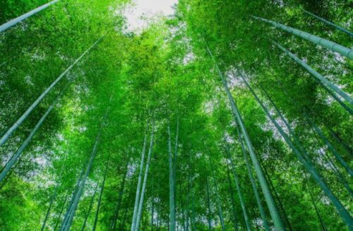 县域经济，福建何以成“弄潮儿”？