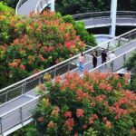 厦门山海健康步道绘就幸福新图景