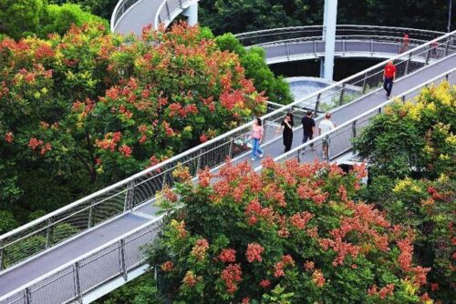 厦门山海健康步道绘就幸福新图景