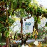 友好城市推荐｜福州三江口植物园，“兰”不住的向往……